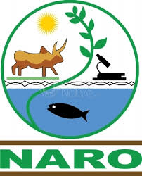 naro